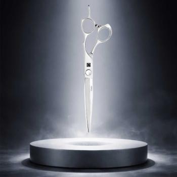 Preview: Pinin Q5 Flecsia